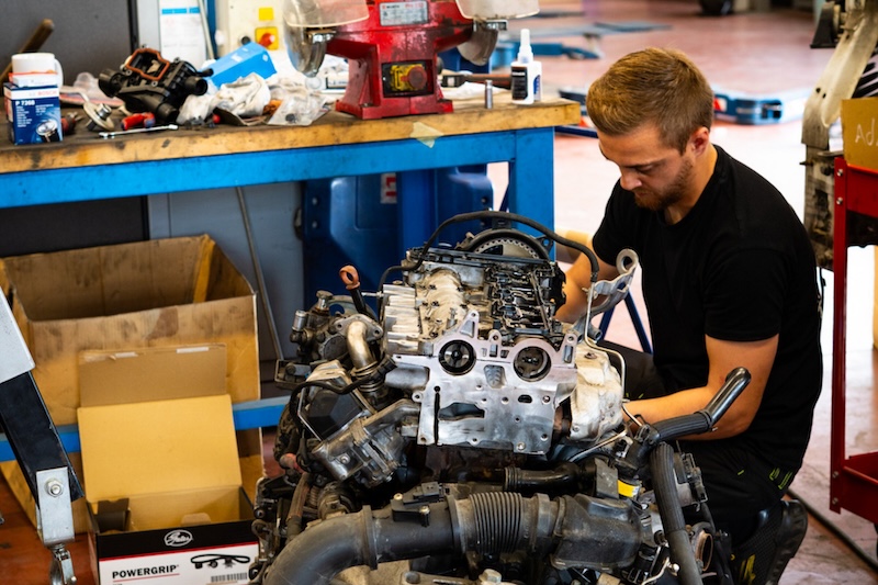 Pagal Collection - Historique vérifié