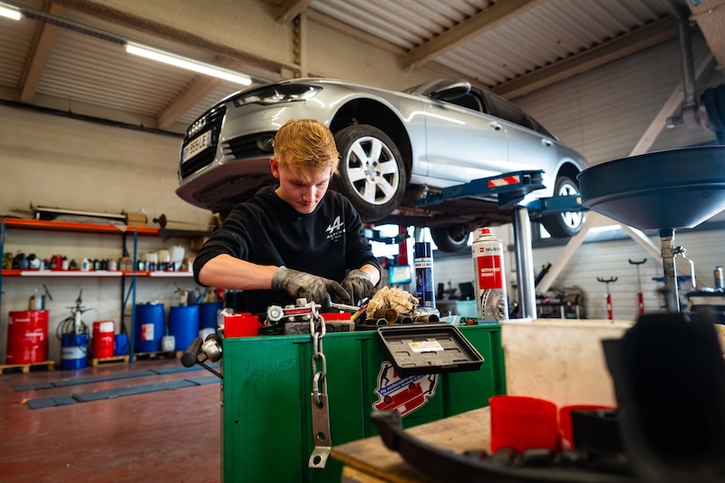 Pagal Collection - Préparation avant-vente